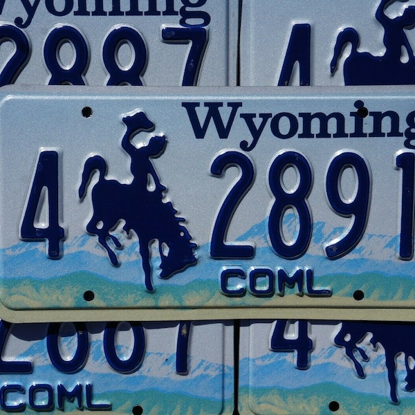 Wyoming License Plate - Etsy