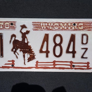 1978 Wyoming Cowboy Horse Fence Brown License Plate Random Numbers