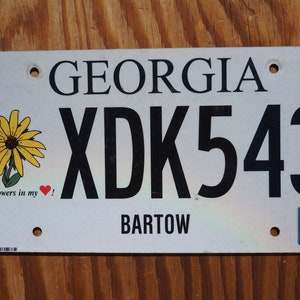 2021 Georgia Wildflowers in my heart License Plate - Sunflower