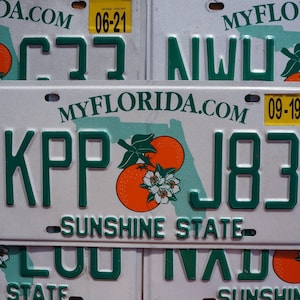 One or More - FLORIDA ORANGE License Plate - Sunshine State