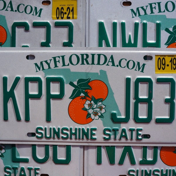 Uno o più - FLORIDA ORANGE Targa - Sunshine State
