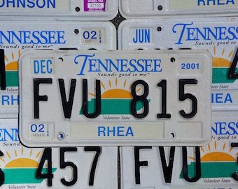 ドブス フォード ディーラー ブースター ナンバープレート メンフィス