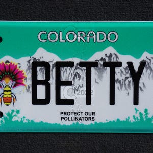 Matrícula de motocicleta de Colorado vencida - BETTY - Elizabeth Betsy Bette Hetty