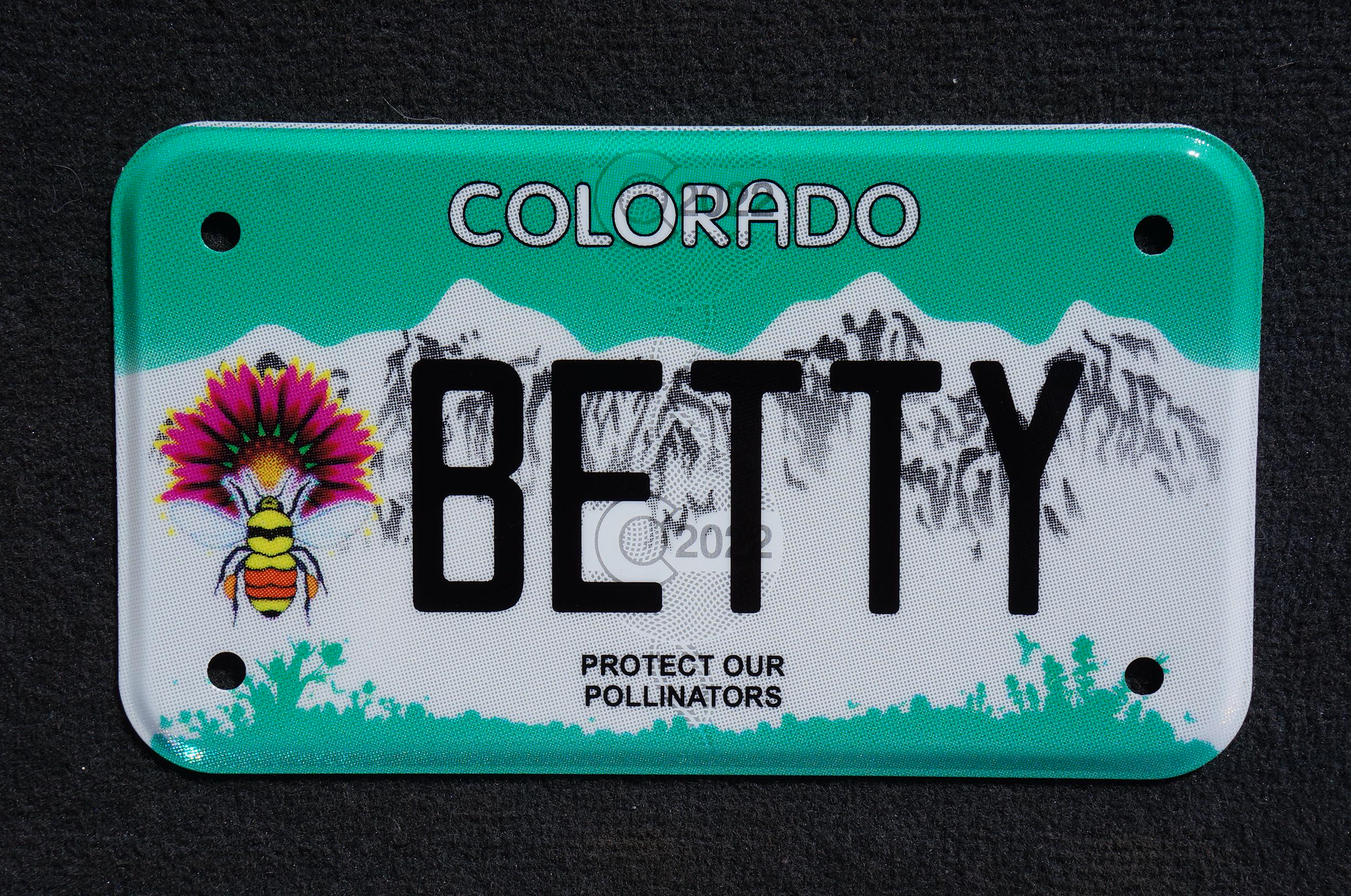 Expired Colorado Vanity MOTORCYCLE License Plate - BETTY