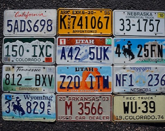 LOT of 12 License Plates 8 Different States USA Plate Tag Craft Condition Group