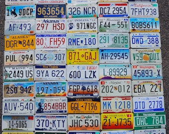 All 50 United States License Plates VINTAGE Standard SET All Embossed Plates