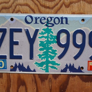 2004 Oregon License Plate # ZEY 999 - Etsy