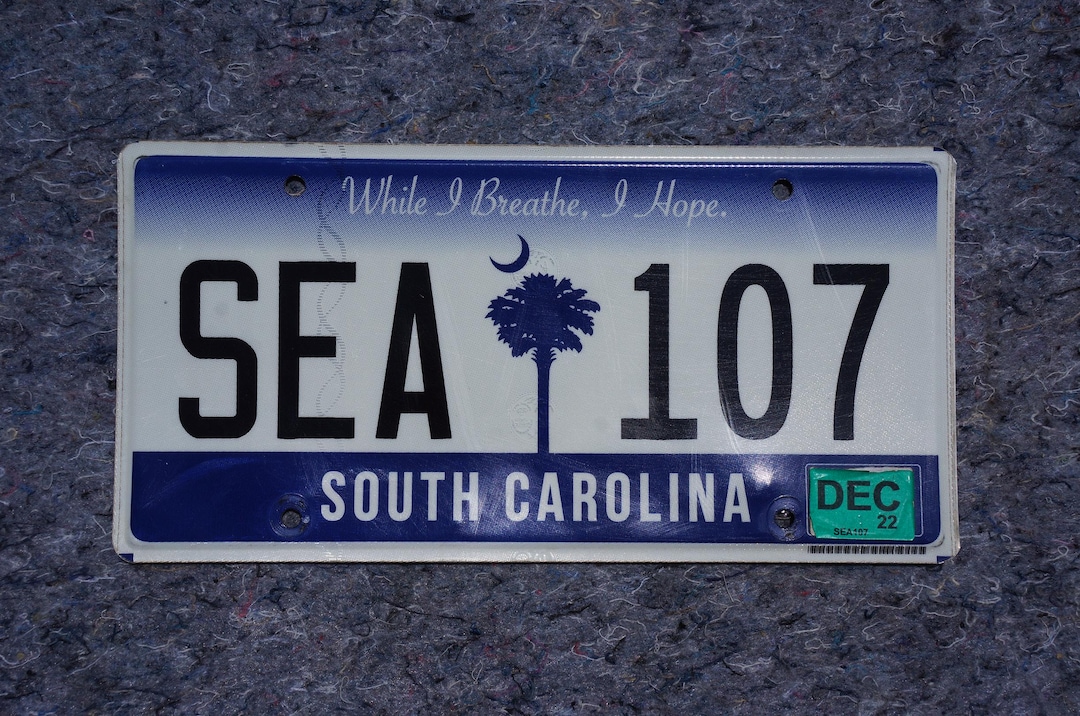 2022 South Carolina Palm Tree License Plate # SEA 107 - Etsy Denmark