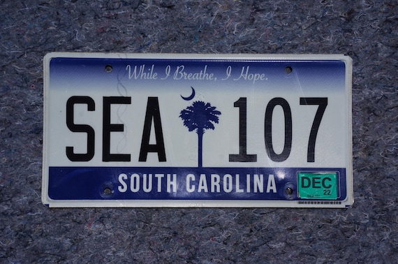 2022 South Carolina Palm Tree License Plate # SEA 107 - Etsy Israel
