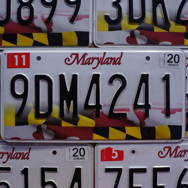 One or More - MARYLAND FLAG License Plate