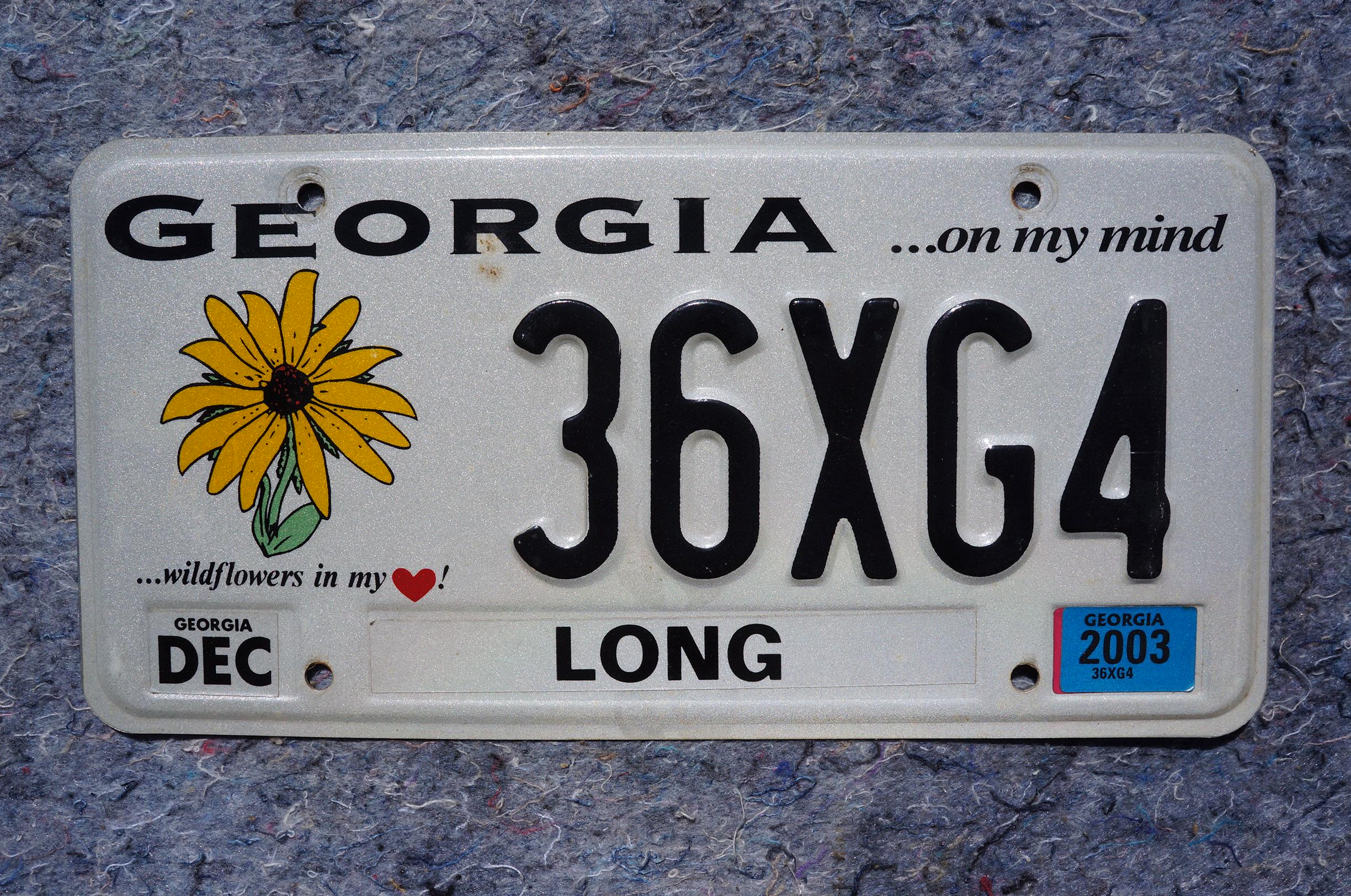 2003 Georgia Wildflowers in My Heart License Plate - Sunflower - Etsy