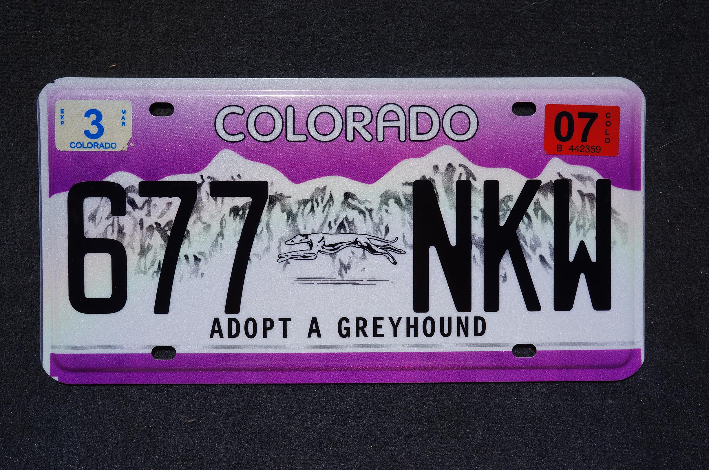 ★ 高品質 カナダ産 Grizzly ラグ　頭骨付　※CITES・登録票付 il_fullxfull.6746734948_a9ji.jpg