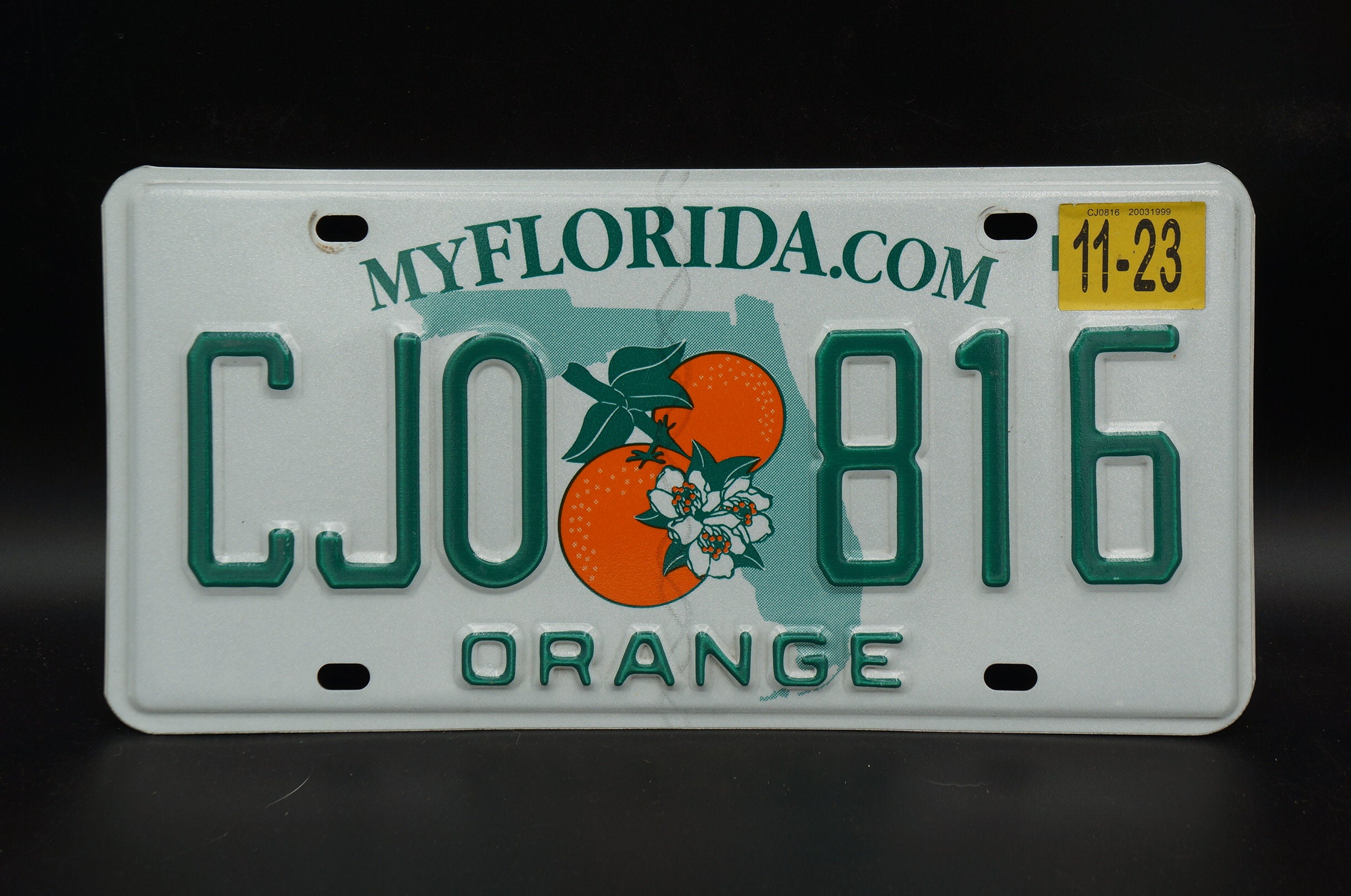2023 Florida Orange County Twin Oranges License Plate - Etsy