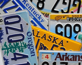 License Plate - ALL 50 STATES + Territories Countries Good Condition License Plates Lot Each State for collecting / decor / crafting