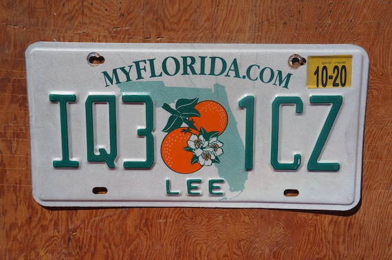 2020 Florida LEE County Double Oranges License Plate - Etsy