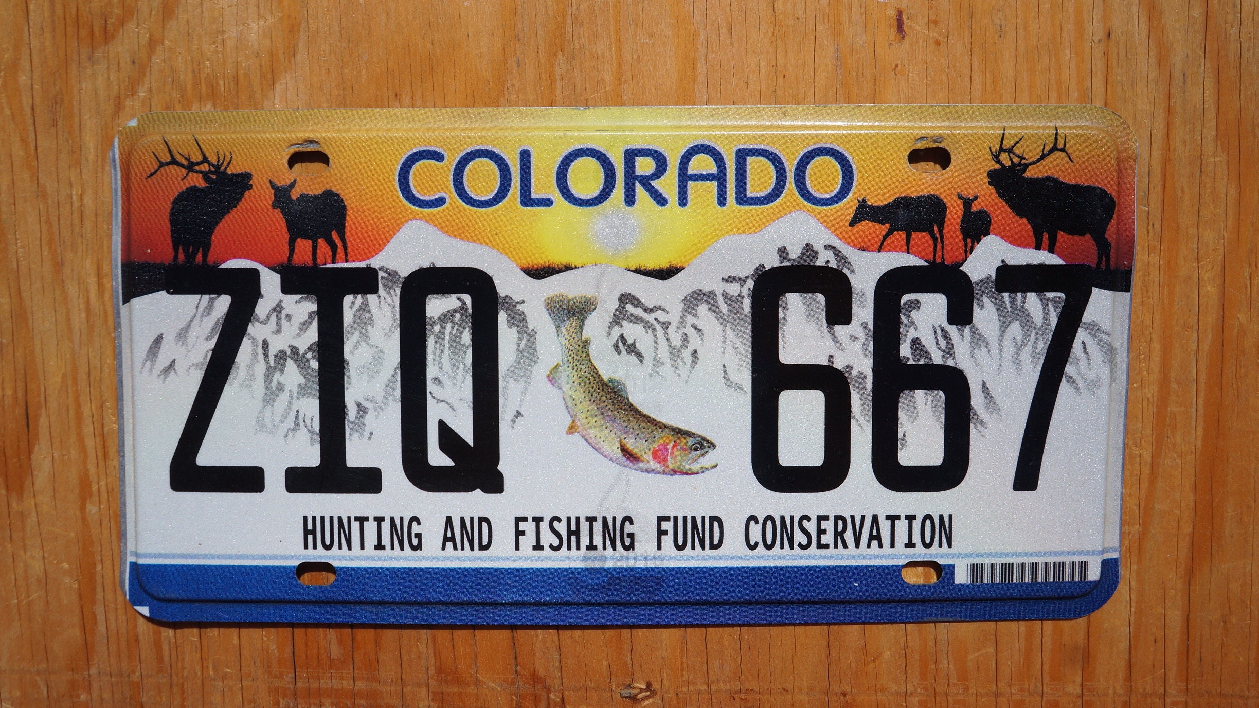 Colorado HUNTING & FISHING Fund Conservation License Plate Fish Elk Deer -   Canada