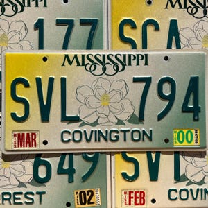 Authentic Mississippi Large Magnolia Flower Yellow Green Graphic License Plate Tags Good Condition