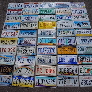 Complete Set >>> All 50 STATES USA License Plates Lot of Good License ...