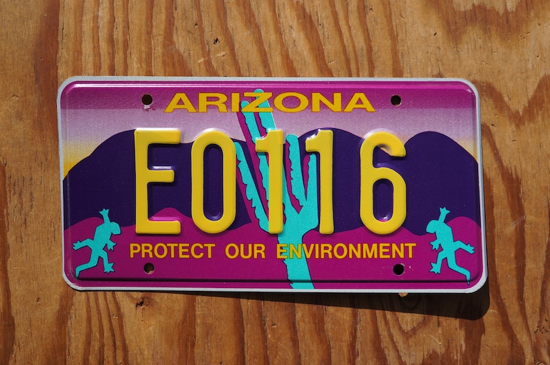 Arizona Blue Cactus Protect Our Environment purple License Plate # E0116