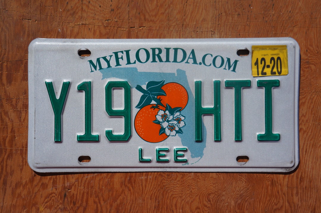 2020 Florida LEE County Twin Oranges License Plate - Etsy