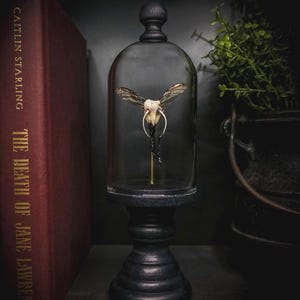May include: A decorative display featuring a preserved insect specimen under a glass cloche. The specimen is mounted on a gold-colored rod, set on a black pedestal. A dark red book with gold lettering is visible in the background.