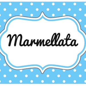 16 etichette adesive rettangolari personalizzate 8 colori 50 font scuola ufficio casa quaderni libri barattoli vasetti conserve poliestere
