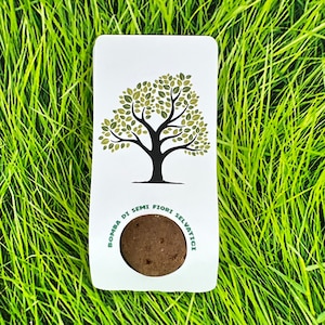 3 bombe di semi albero della vita bomboniera segnaposto comunione cresima battesimo nozze idea ecologica fiori misti selvatici