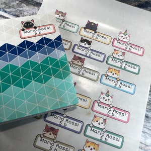 Foglio di 18 etichette adesive scolastiche con gattini personalizzate con nome e classe per quaderni libri blocchi appunti soggetti diversi