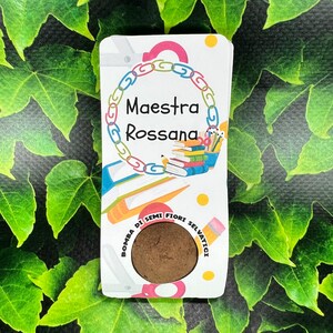 3 bombe di semi regalo personalizzato per la maestra o il maestro fine anno scolastico ritorno a scuola idea ecologica fiori misti selvatici