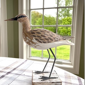 Wooden Sandpiper Bird Mr. Piper.        Hand Painted Wooden Bird 10&quot;h