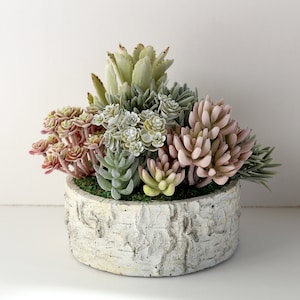 Faux Birch Succulent Arrangement in 7&quot; diam. White Round Birch Planter Mothers Day Gift