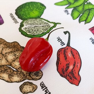 May include: A vibrant red habanero pepper rests on a white surface adorned with illustrated spices and text. The image includes drawings of ginger, a lime, and other ingredients, suggesting a culinary theme.