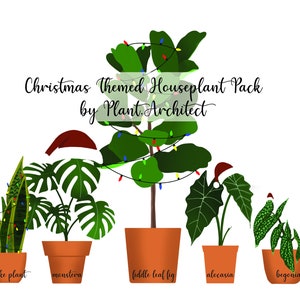 Christmas Themed Houseplant Pack - Clipart, PNG, Plants Illustrations
