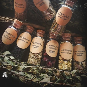 May include: Nine small glass bottles with cork stoppers, each filled with dried herbs and labeled with the common and botanical names of the herbs. The herbs include Arnica, Wormwood, Cedar, Hibiscus, Elderberry, Fennel, Hawthorn Berries, Jasmine, and Lemongrass.