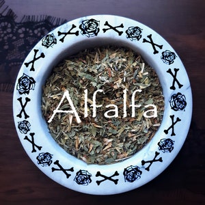 Alfalfa, One Ounce, Dried Herbs, Altar Supplies, Candle Making, Good Fortune, Money Spell, Apothecary, Hedge Witch, Witch Kit, Hoodoo, Pagan