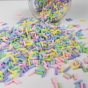 Polymer Clay Fake Faux Sprinkles, Cute Decoden Rainbow Funfetti Jimmies, E5  