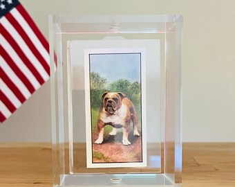 1961 British Bulldog