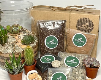 DIY Large Terrarium Kit | Complete Starter Kit | With Succulent / Cactus | Open Terrarium | Handmade Glass Jar without Cork lid