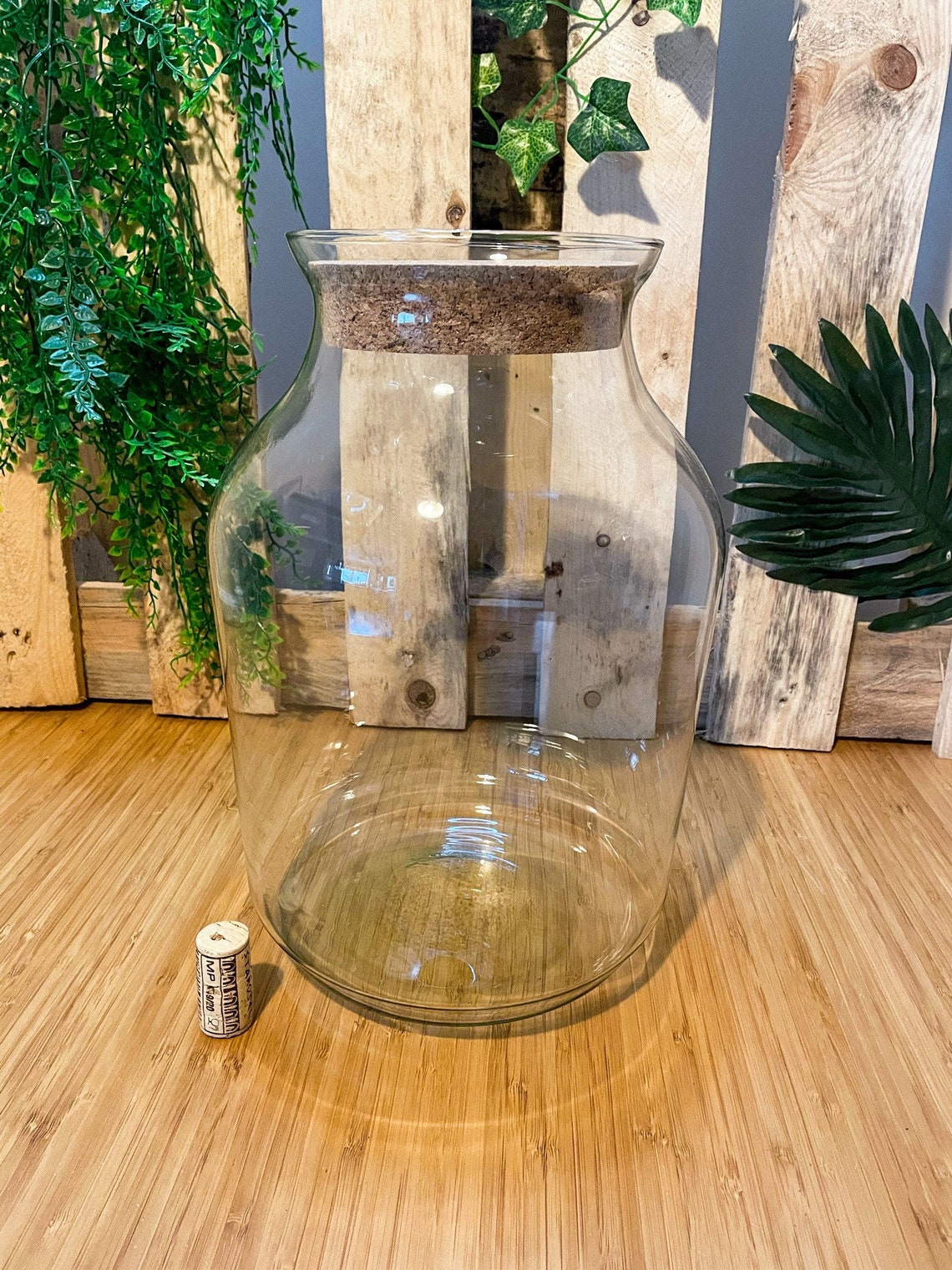 HANDMADE Glass Terrarium Jar EXTRA LARGE With or Without Etsy