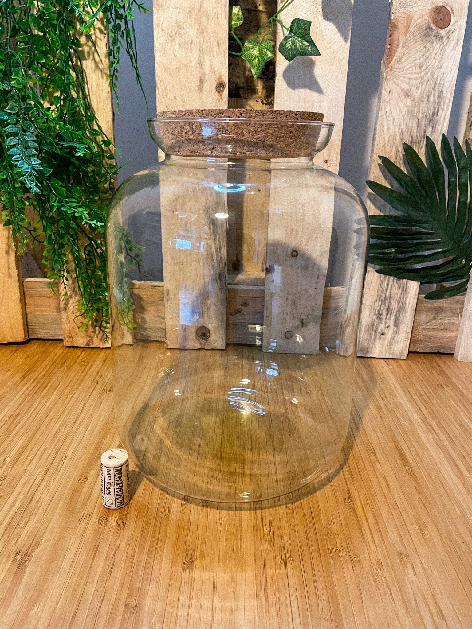 Handmade Glass Terrarium Jar EXTRA LARGE BALOON With or Etsy