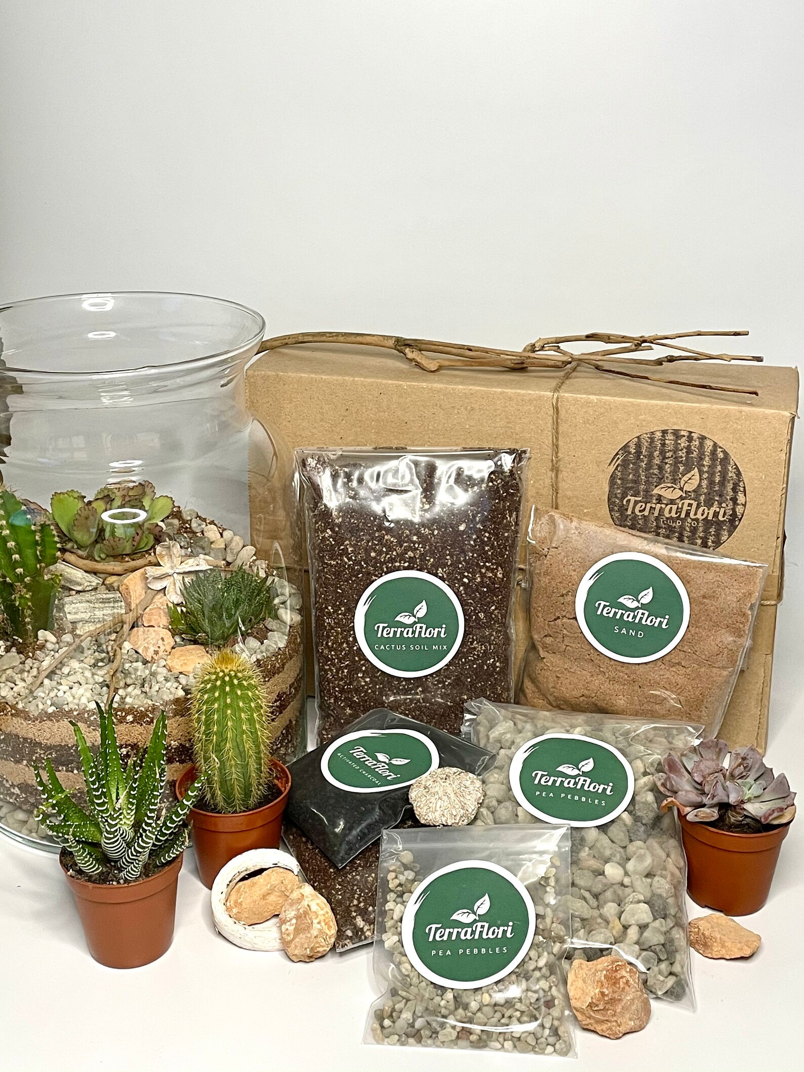 DIY Large Terrarium Kit Complete Starter Kit With Etsy