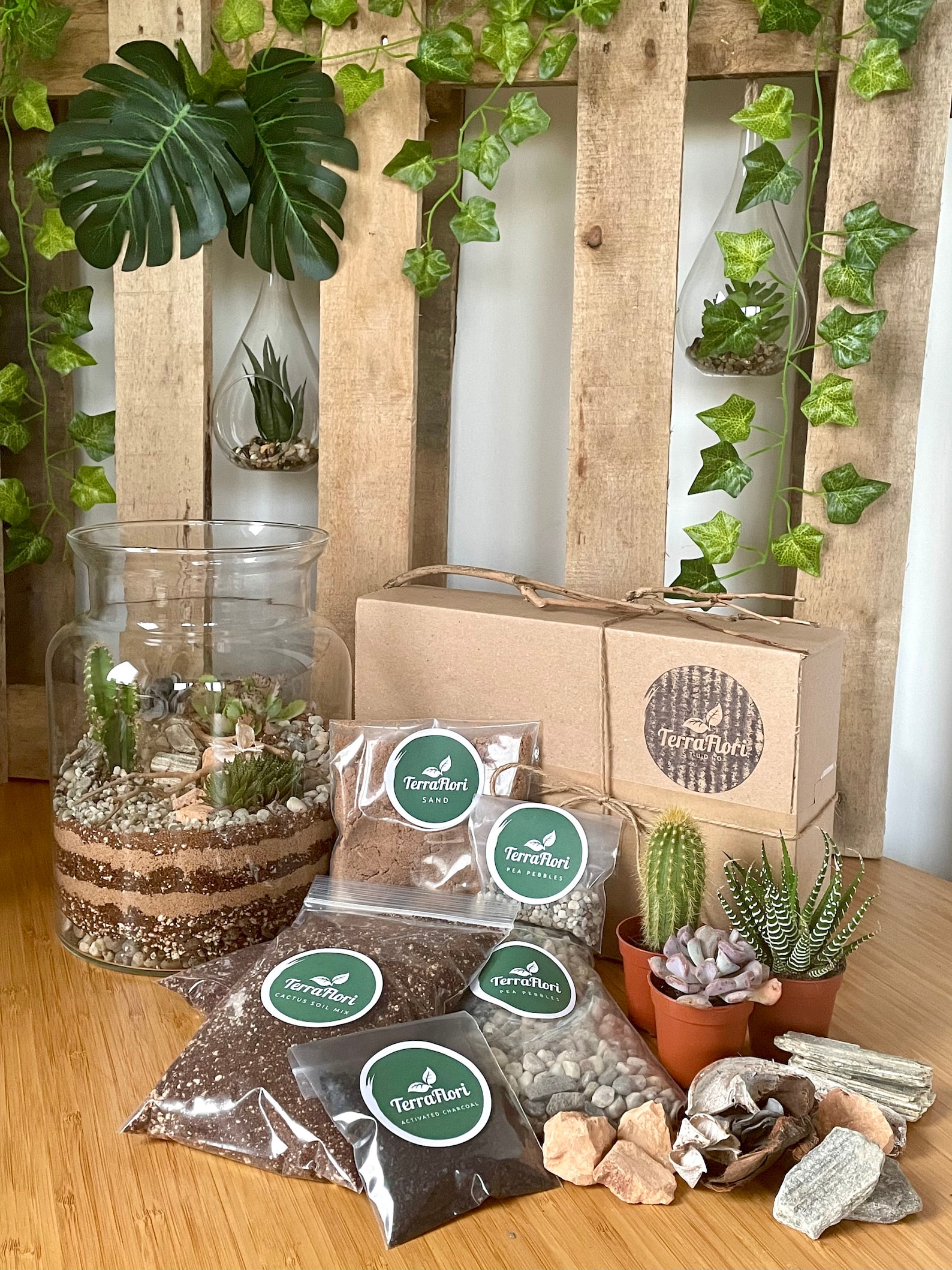 DIY Large Terrarium Kit Complete Starter Kit With Etsy