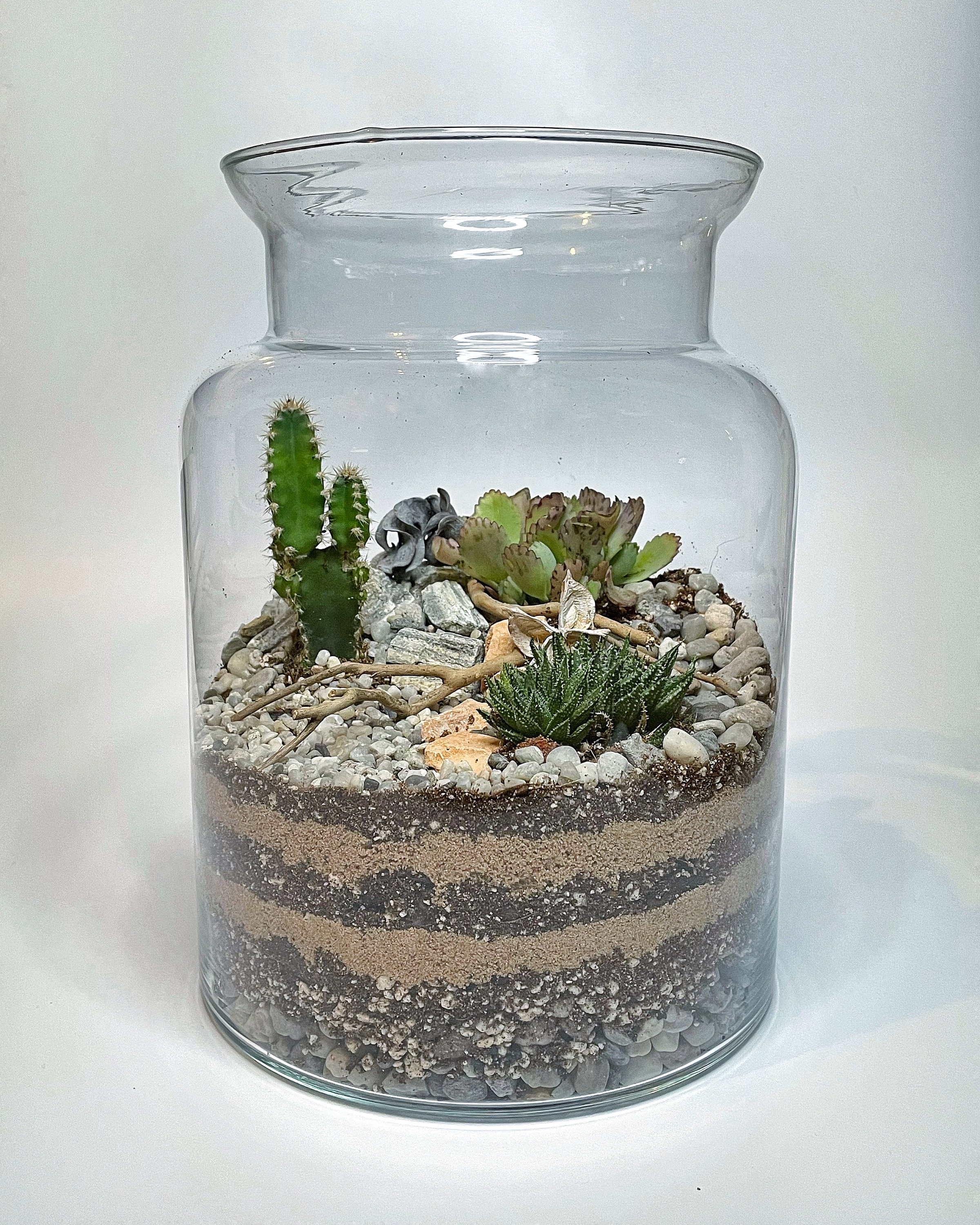 DIY Large Terrarium Kit Complete Starter Kit With Etsy