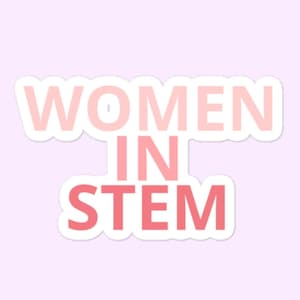Women In STEM Pink Ombre Stickers, Female In Tech, Science, Engineering, Math Bubble-free stickers