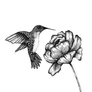 Hummingbird and Peony Print | Etsy