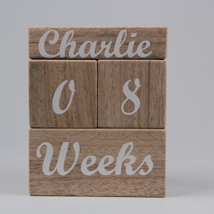 Aangepaste baby mijlpaal blokken, leeftijd blokken, baby maand blokken, baby mijlpaal kaarten, baby douche cadeau, fotoblokken, foto prop