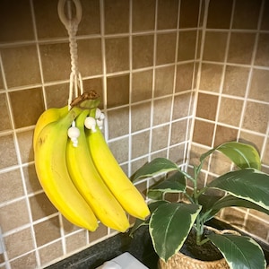 May include: A bunch of yellow bananas hanging from a white macrame rope with white beads. The bananas are hanging in a kitchen with brown tile and a white ceramic butter dish.
