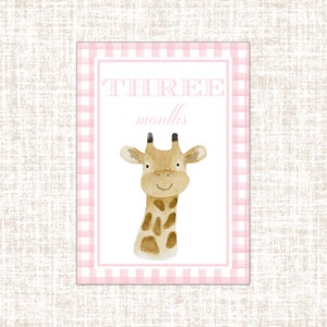 Cartes d’étape de bébé animal