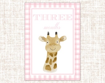 Baby Girl Animal Milestone Cards