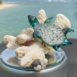 Ashes In Glass Sea Turtle Cremation Ashes In Memorial Glass. (Color/Emerald Green). Custom Glass Made to Your Colors Mounted on Beach Coral.